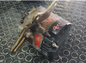Alternatore Fiat Tipo 1.7 Diesel 1^serie